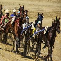 horses_4_0_0.jpg