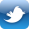 twitter icon